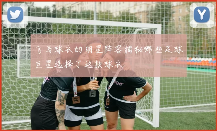 飞马球衣的明星阵容揭秘哪些足球巨星选择了这款球衣