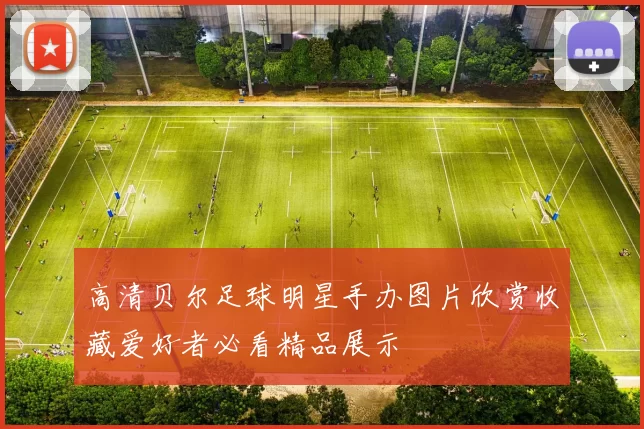 高清贝尔足球明星手办图片欣赏收藏爱好者必看精品展示