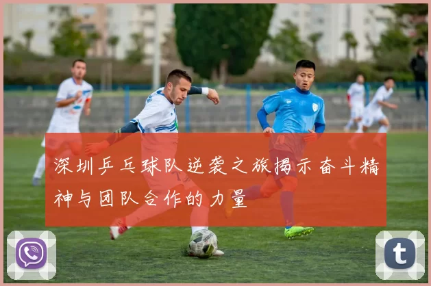 深圳乒乓球队逆袭之旅揭示奋斗精神与团队合作的力量