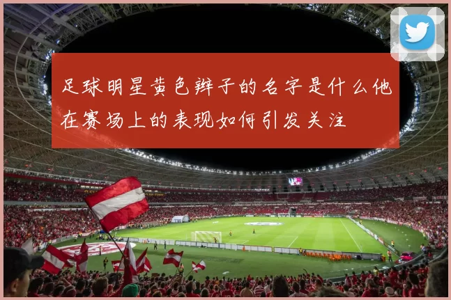 足球明星黄色辫子的名字是什么他在赛场上的表现如何引发关注
