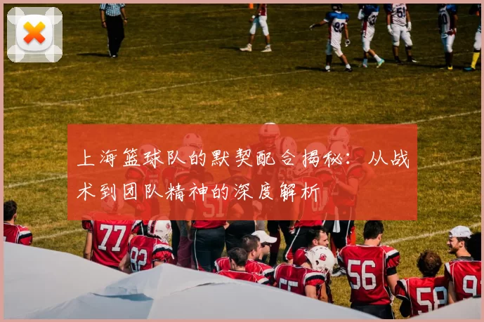 上海篮球队的默契配合揭秘：从战术到团队精神的深度解析
