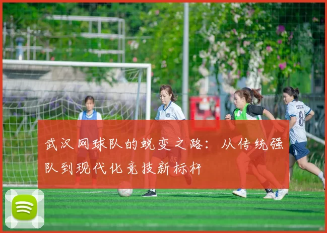 武汉网球队的蜕变之路：从传统强队到现代化竞技新标杆