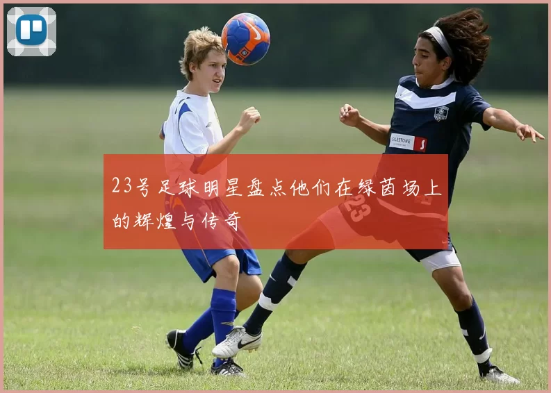 23号足球明星盘点他们在绿茵场上的辉煌与传奇