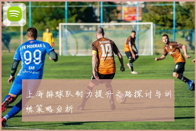 上海排球队耐力提升之路探讨与训练策略分析