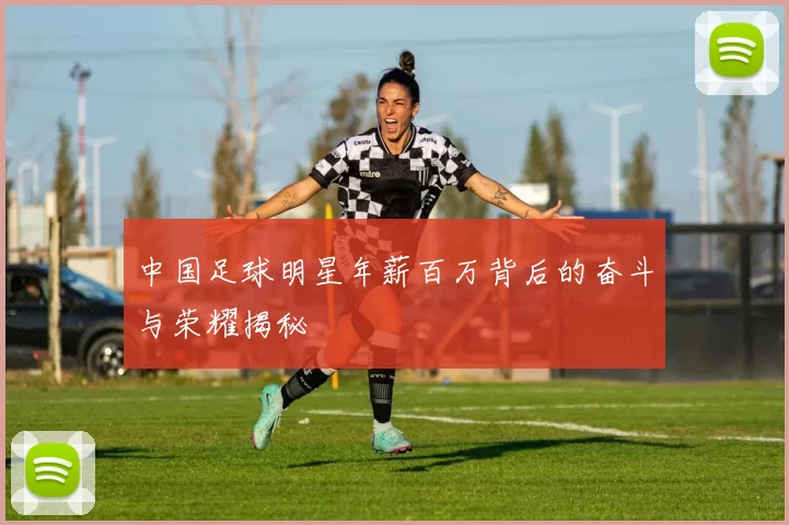中国足球明星年薪百万背后的奋斗与荣耀揭秘