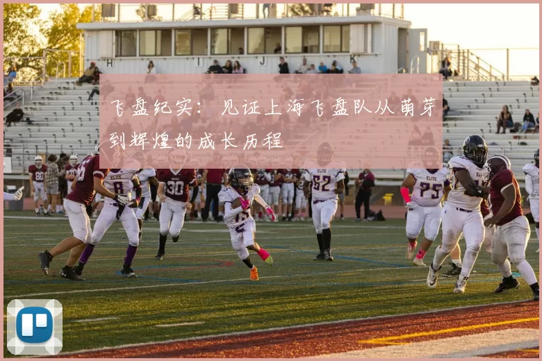 飞盘纪实：见证上海飞盘队从萌芽到辉煌的成长历程