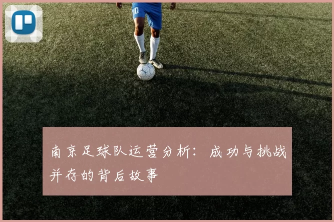 南京足球队运营分析：成功与挑战并存的背后故事